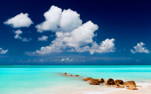 801569 (a): :2560x1600